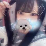 ヒメ日記 2025/01/24 14:52 投稿 ぐみ クラスメイト