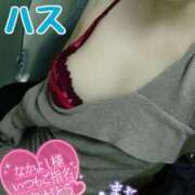 ヒメ日記 2024/12/14 01:28 投稿 ハス　蓮 女の子市場