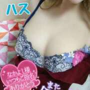 ヒメ日記 2025/02/10 00:28 投稿 ハス　蓮 女の子市場