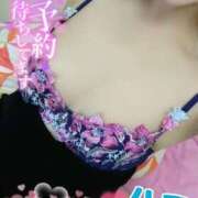 ヒメ日記 2025/02/24 19:18 投稿 ハス　蓮 女の子市場