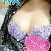 ヒメ日記 2025/08/09 02:28 投稿 ハス　蓮 女の子市場