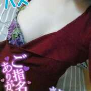 ヒメ日記 2025/11/14 13:38 投稿 ハス　蓮 女の子市場