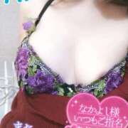 ヒメ日記 2025/11/14 19:28 投稿 ハス　蓮 女の子市場