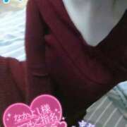 ヒメ日記 2025/11/15 01:08 投稿 ハス　蓮 女の子市場