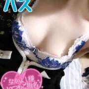 ヒメ日記 2025/11/17 01:28 投稿 ハス　蓮 女の子市場