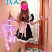 ヒメ日記 2026/07/09 10:18 投稿 ハス　蓮 女の子市場