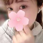 ヒメ日記 2025/04/11 11:12 投稿 坂本りの 多恋人倶楽部