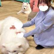 ゆず-KINDAN- ‎🩵 19:00〜🈳 KINDAN-禁断-