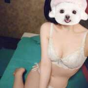 ヒメ日記 2025/11/21 20:15 投稿 あやか 新橋Sweets（スウィーツ）