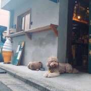 ヒメ日記 2026/01/28 11:23 投稿 あやか 新橋Sweets（スウィーツ）