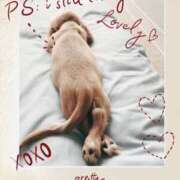 ヒメ日記 2024/12/21 21:38 投稿 ちあみ 奥様さくら難波店