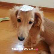 ヒメ日記 2025/01/29 20:41 投稿 ちあみ 奥様さくら難波店