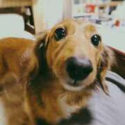 ヒメ日記 2025/02/03 10:01 投稿 ちあみ 奥様さくら難波店