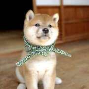 ヒメ日記 2025/02/10 21:11 投稿 ちあみ 奥様さくら難波店