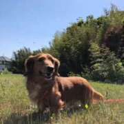 ヒメ日記 2025/03/02 21:11 投稿 ちあみ 奥様さくら難波店