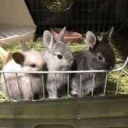 ヒメ日記 2025/03/17 20:41 投稿 ちあみ 奥様さくら難波店