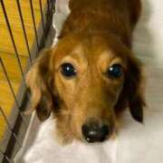 ヒメ日記 2025/03/30 23:31 投稿 ちあみ 奥様さくら難波店