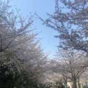 ヒメ日記 2025/04/10 21:03 投稿 ちあみ 奥様さくら難波店