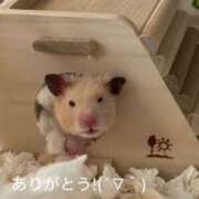 ヒメ日記 2025/07/19 21:02 投稿 ちあみ 奥様さくら難波店