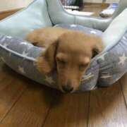 ヒメ日記 2025/07/25 14:41 投稿 ちあみ 奥様さくら難波店