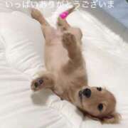 ヒメ日記 2025/12/18 20:41 投稿 ちあみ 奥様さくら難波店