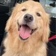 ヒメ日記 2026/01/11 19:51 投稿 ちあみ 奥様さくら難波店