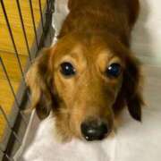 ヒメ日記 2026/01/13 09:21 投稿 ちあみ 奥様さくら難波店