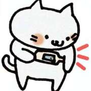 ヒメ日記 2026/02/17 08:41 投稿 ちあみ 奥様さくら難波店