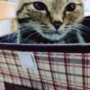 ヒメ日記 2026/02/22 21:01 投稿 ちあみ 奥様さくら難波店