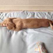 ヒメ日記 2026/03/01 18:51 投稿 ちあみ 奥様さくら難波店