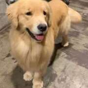 ヒメ日記 2026/03/07 20:41 投稿 ちあみ 奥様さくら難波店