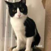 ヒメ日記 2026/06/13 09:21 投稿 ちあみ 奥様さくら難波店