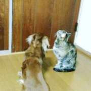 ヒメ日記 2026/07/22 19:21 投稿 ちあみ 奥様さくら難波店