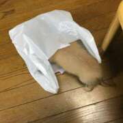 ヒメ日記 2026/08/06 19:52 投稿 ちあみ 奥様さくら難波店