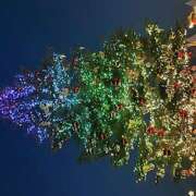 ヒメ日記 2024/12/24 18:03 投稿 青葉 熟女待機所 厚木店