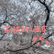 青葉 4月10日(木)🌱‬‪ 熟女待機所 厚木店