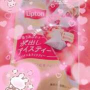 ヒメ日記 2025/09/23 13:43 投稿 ひなた 那珂川角海老
