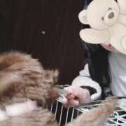 ヒメ日記 2025/03/05 12:31 投稿 もも 奴隷コレクション