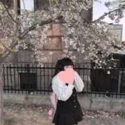 ヒメ日記 2025/04/10 11:15 投稿 もも 奴隷コレクション