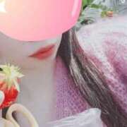 ヒメ日記 2025/04/18 11:45 投稿 もも 奴隷コレクション