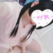 ヒメ日記 2025/06/27 05:30 投稿 もも 奴隷コレクション