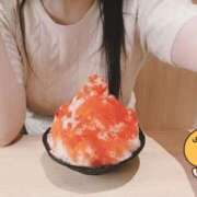 ヒメ日記 2025/07/31 14:57 投稿 もも 奴隷コレクション