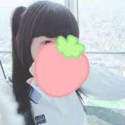 ヒメ日記 2025/09/01 12:46 投稿 もも 奴隷コレクション