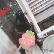 ヒメ日記 2025/10/06 04:45 投稿 もも 奴隷コレクション