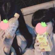 ヒメ日記 2025/12/31 01:37 投稿 もも 奴隷コレクション