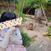 ヒメ日記 2026/07/20 14:55 投稿 もも 奴隷コレクション