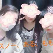 ヒメ日記 2026/10/07 23:45 投稿 もも 奴隷コレクション