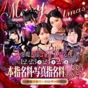 ヒメ日記 2024/12/21 19:24 投稿 りこ 秒即DE舐めてミント