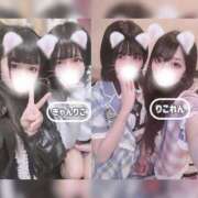 ヒメ日記 2025/03/19 00:07 投稿 りこ 秒即DE舐めてミント