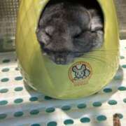 くらら な、な、、んと！ 横浜ハッピーマットパラダイス